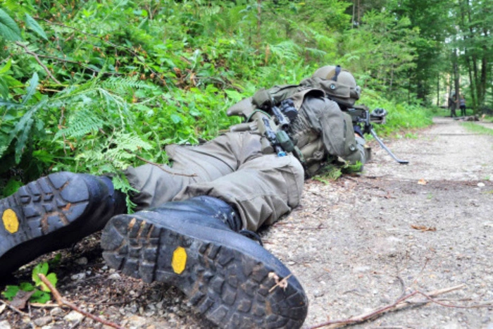 Schauplatz des Trainings war ein Kärntner Wald.