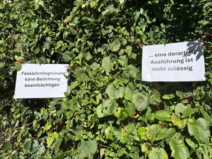 Auf der bereits begrünten Fläche sind laut Bürgermeister Aussagen zu Gesprächen mit dem Land zu sehen