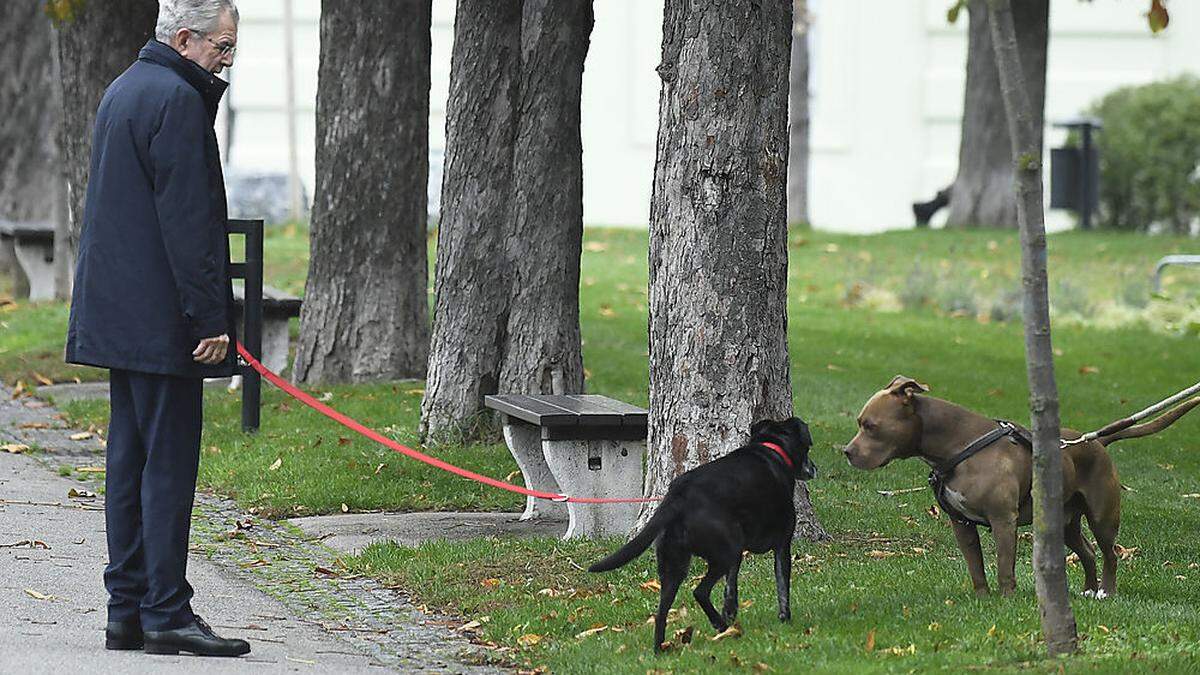 Der Bundespräsident hat derzeit wenig Zeit für seinen Hund Kita