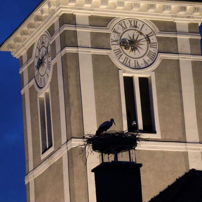 Storchennest | Vor dem wunderschön beleuchteten Kirchturm von Trofaiach kann man ein Storchennest samt Storch erkennen. 