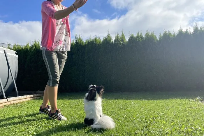 Obwohl der kleine Hund schon zehn Jahre alt ist, liebt er das Training mit seinem Frauchen.