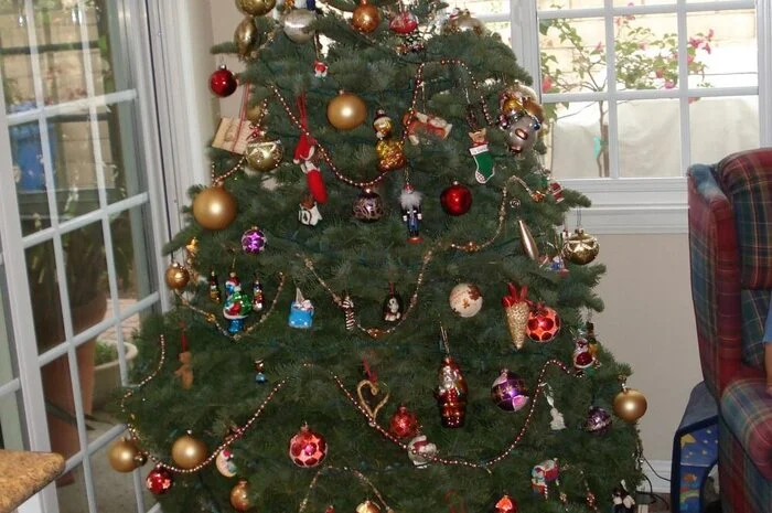 Eine gebürtige Spittalerin feierte Weihnachten in Simi Valley. Der Christbaum kann sich - auch im warmen Kalifornien sehen lassen! ;-)