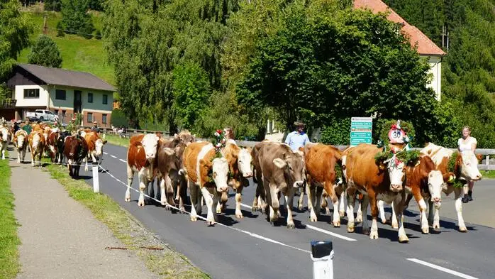 Von der Landstraße zum Stallgebäude.