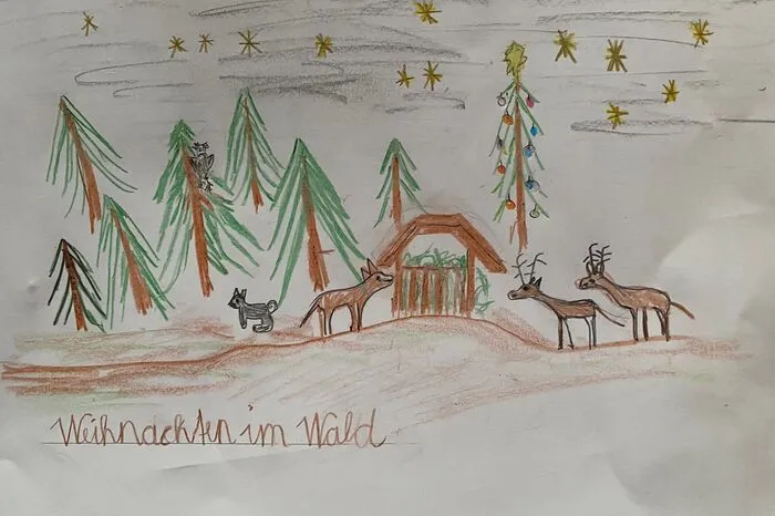 Türchen Nummer 2: Es ist still und idyllisch im Wald. Bilder können noch bis zum Heiligen Abend via Post (Johannesplatz 2, 9900 Lienz) oder Mail (osttirol@kleinezeitung.at) eingereicht werden. 
