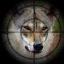 Vier Kreuzungen zwischen Wolf und Hund wurden in Kärnten bereits nachgewiesen