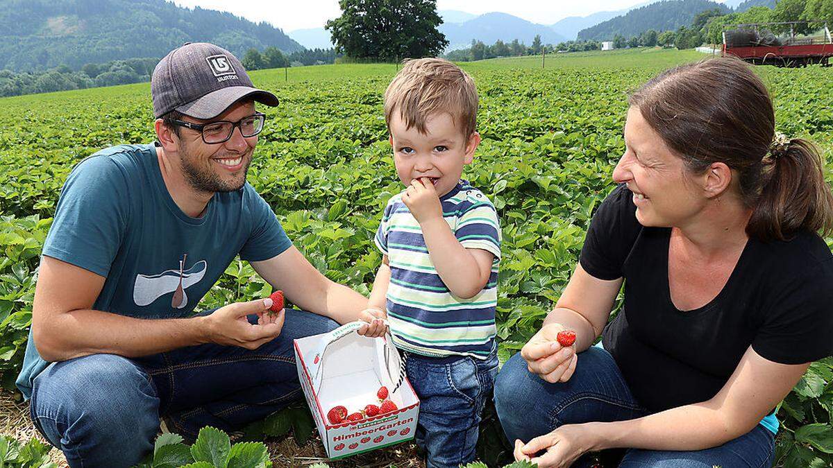 Kerstin Schellauf, Michael Brömel und Sohn Ben (2) ließen sich die Erdbeeren schmecken 