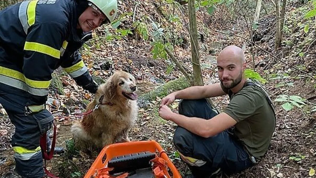 Der Hund wurde mittels Korbtrage aus dem Bachbett gerettet