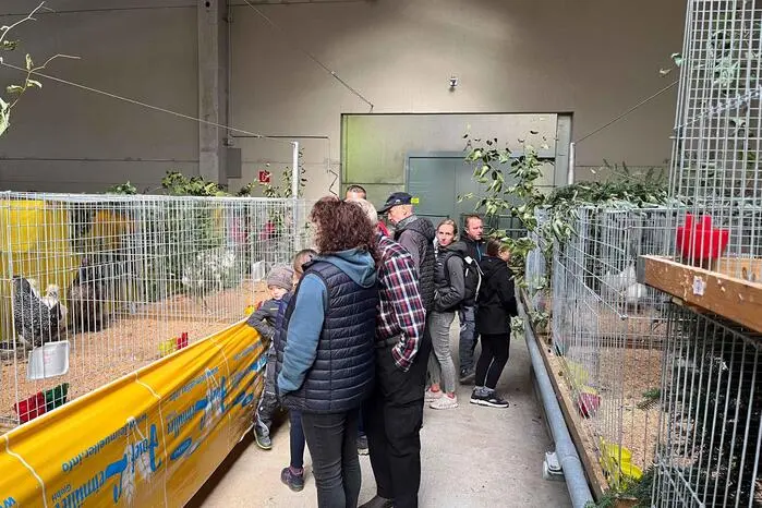 Bereits am ersten Ausstellungstag strömten zahlreiche Besucher in die Halle, um die liebevoll gepflegten Tiere zu bestaunen.