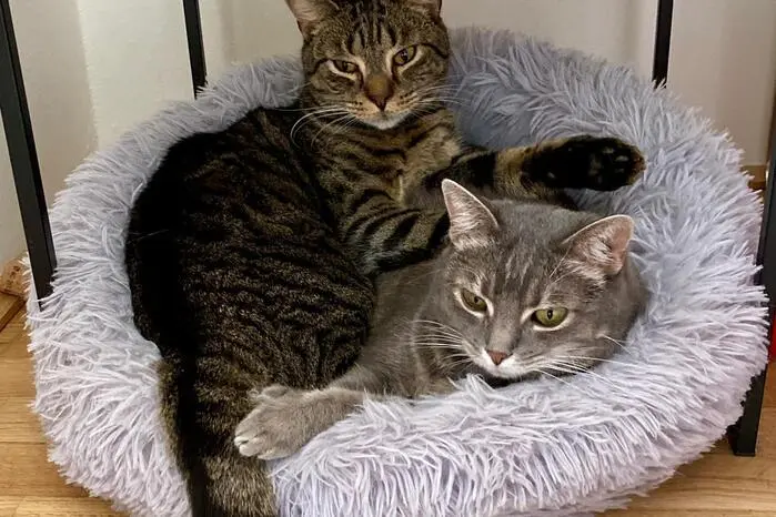Carlos & Juanita fühlen sich sichtlich wohl.