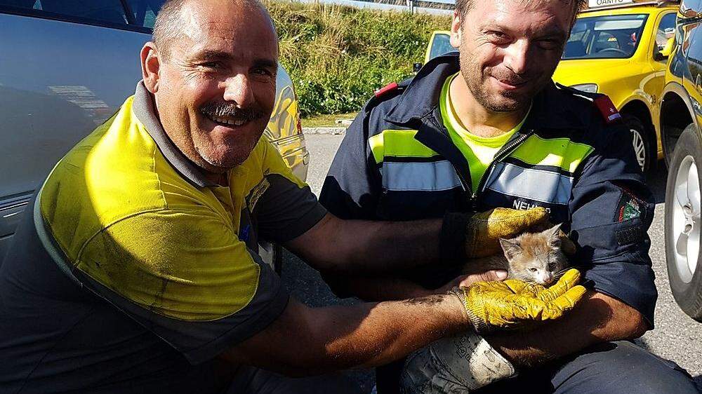 Öamtc-Pannenfahrer Franz Trummer und ein Feuerwehrmann der FF Seiersberg mit dem von der Odyssee gezeichneten Kätzchen