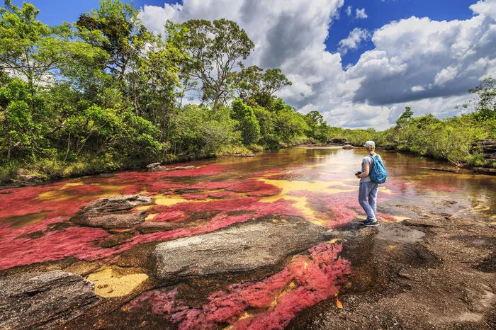 Wie ein Regenbogen erscheint einem dieser Fluss. Mit seinen Farben pink, grün, gelb, schwarz und rot wurde der Fluss Caño Cristales im Nationalpark Serrania de la Macarena in Kolumbien zur Berühmtheit. Doch woher kommen diese Farbtöne? Grund dafür sind die Pflanzen mit ihrer bunten Blütenpracht, die, wie zum Beispiel die Macarenia clavigera, am Grund des Flusses wachsen. Die beste Zeit um die Farben des Flusses auch wirklich zu sehen, ist zwischen Juli und November.