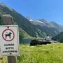 Mehrere Hinweisschilder weisen am und zum beliebten Riesachsee (Schladming) auf die Leinenpflicht hin