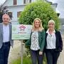 Andreas Linke, Projektleitung und Landesgeschäftsführer Gewerkschaft Bau-Holz, Elisabeth Grossmann von der SPÖ und Fachexpertin Manuela Rozin (v. l.)