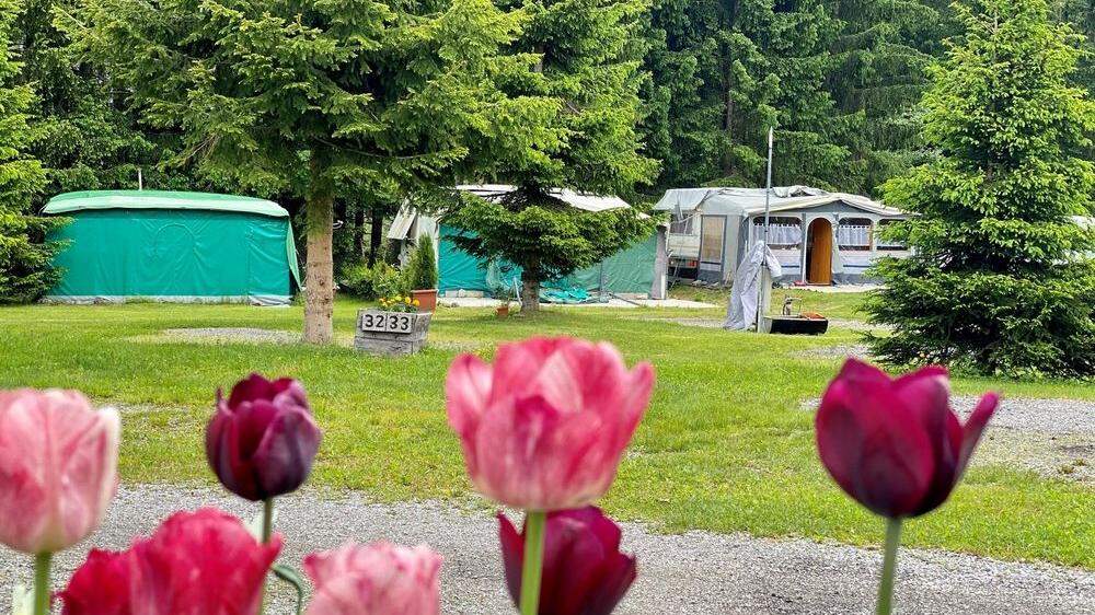 &quot;Camping Lienzer Dolomiten&quot; verfügt über 100 Stellplätze
