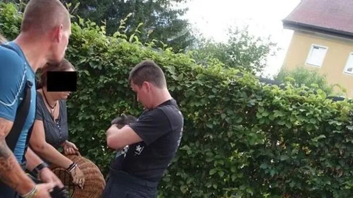 Der etwa zwölf Wochen alte Vierbeiner kam in die Obhut eines Veterinärs, bis die Besitzer sich melden