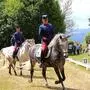 An vielen Stationen wurden die Lipizzaner und das Gestüt selbst präsentiert