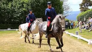 An vielen Stationen wurden die Lipizzaner und das Gestüt selbst präsentiert