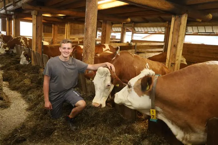 Der Besuch im großen Rinderstall wurde für viele Besucher zu einem großen Erlebnis