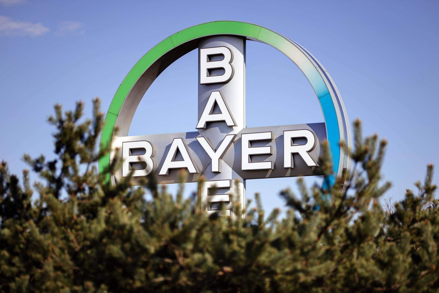 Pharmariese unter Druck: Schulden und hohe Zinsen: Bayer streicht Dividende auf gesetzliches Minimum zusammen