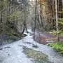 Ein dampfender Bach im Wald | Im Rahmen einer Petition wurden bereits tausende Unterschriften gegen das Projekt in Villach-Warmbad gesammelt
