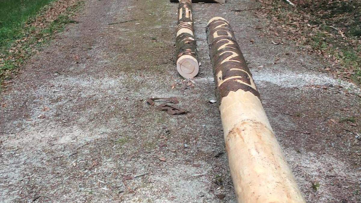 Solche &quot;Streiche&quot; können laut Staatsanwaltschaft Graz schwerwiegende Konsequenzen nach sich ziehen