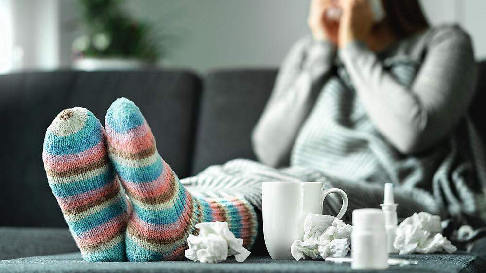Die echte Grippe kennzeichnet sich durch schlagartig hohes Fieber mit trockenem Husten, Schnupfen, Kopf-, Muskel- und Gliederschmerzen	