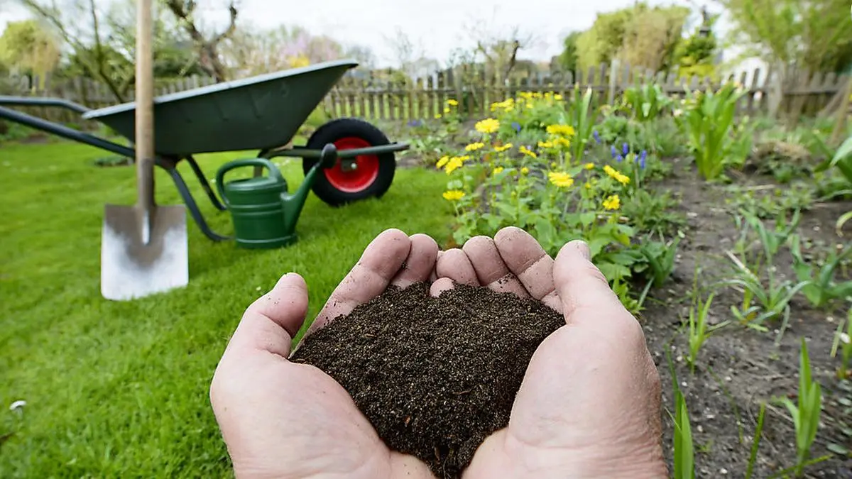 Nährstoffe zuführen, aber wie viele? 