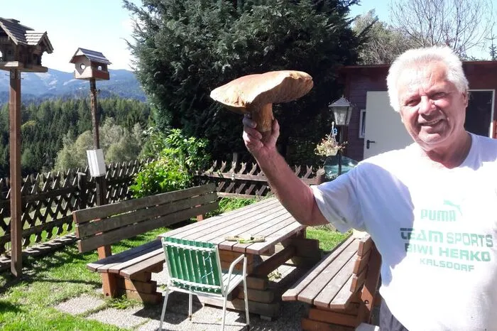 Einen 1,534 Kilogramm schweren Steinpilz aus Rettenbach (Hebalmgebiet) hält Fred Mugler hier in die Kamera. Wurmfrei, wie seine Frau Margreth betont