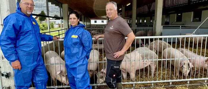 Die beiden Amtstierärzte Wolfgang Florian und Cordula Konstantopoulos vom Veterinärreferat der BH Leibnitz mit Landwirt Werner Pail vor seinem Tierwohlstall in Wagendorf