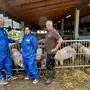 Die beiden Amtstierärzte Wolfgang Florian und Cordula Konstantopoulos vom Veterinärreferat der BH Leibnitz mit Landwirt Werner Pail vor seinem Tierwohlstall in Wagendorf