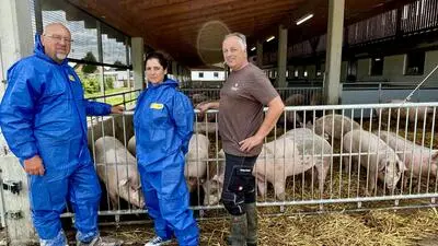 Die beiden Amtstierärzte Wolfgang Florian und Cordula Konstantopoulos vom Veterinärreferat der BH Leibnitz mit Landwirt Werner Pail vor seinem Tierwohlstall in Wagendorf