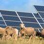 Eine Photovoltaikanlage am Berg wird in Hopfgarten gebaut (Symbolfoto) 