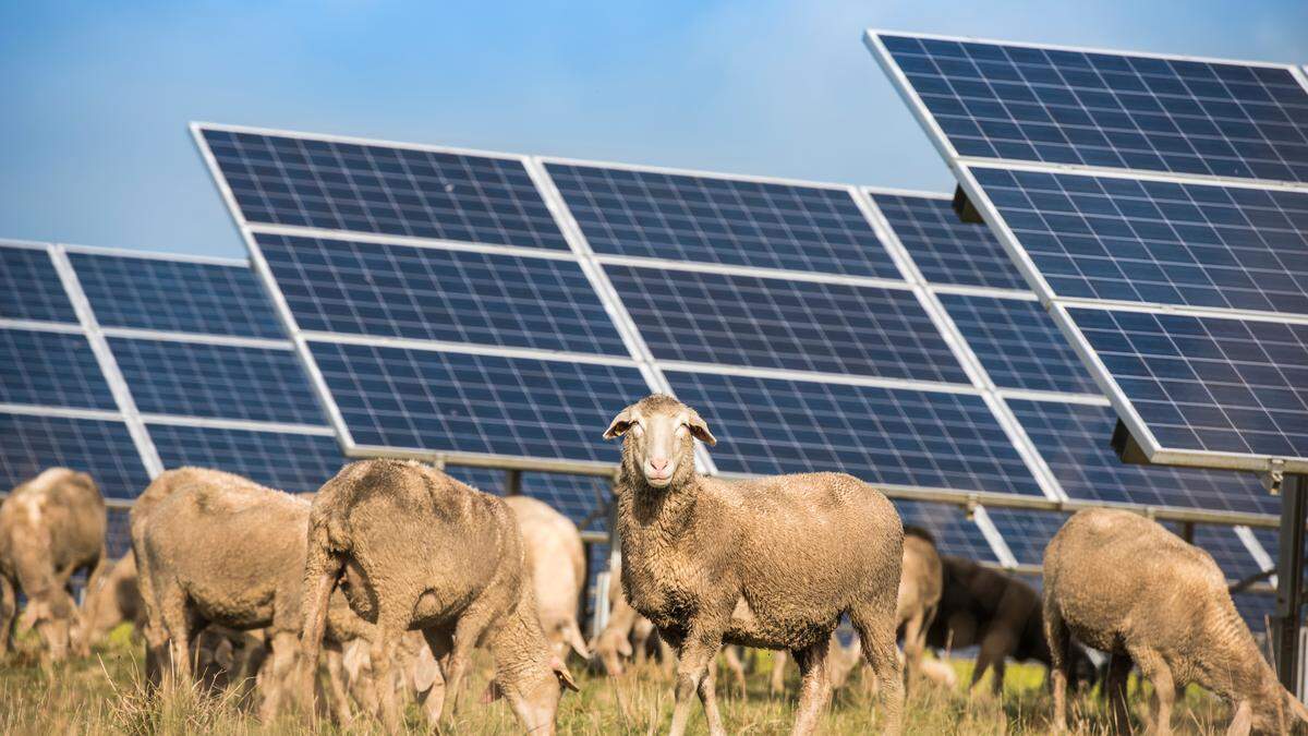 Eine Photovoltaikanlage am Berg wird in Hopfgarten gebaut (Symbolfoto) 