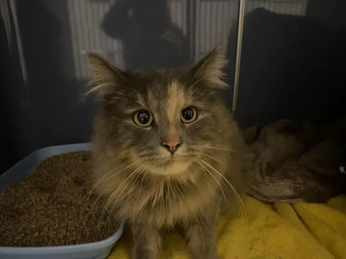 Flocke wurde kurzerhand ausgesperrt