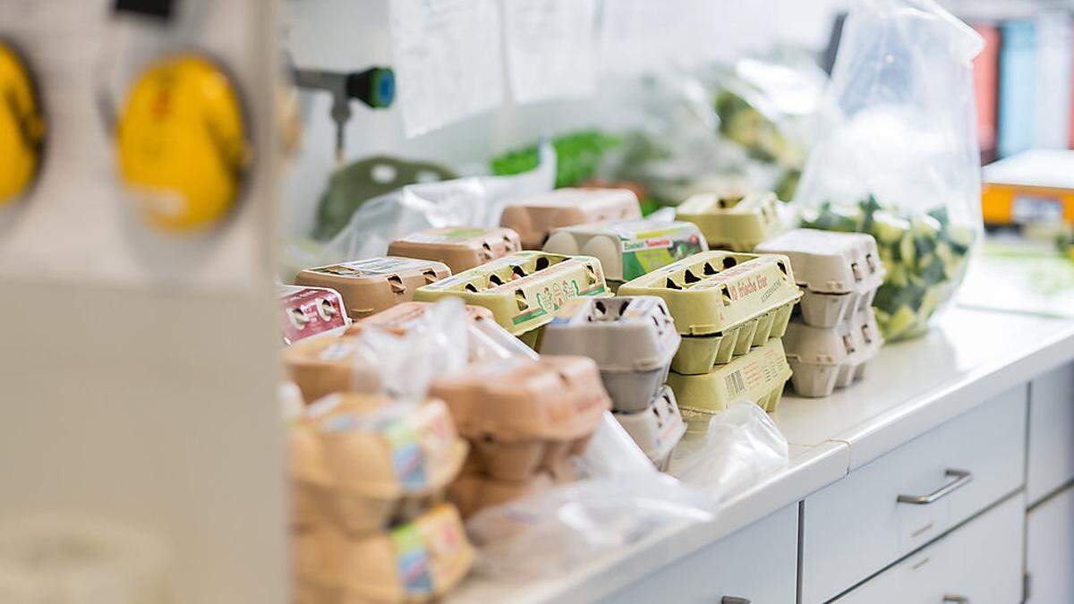 Zahlreiche Eierverpackungen  im Veterinäruntersuchungsamt  in Münster