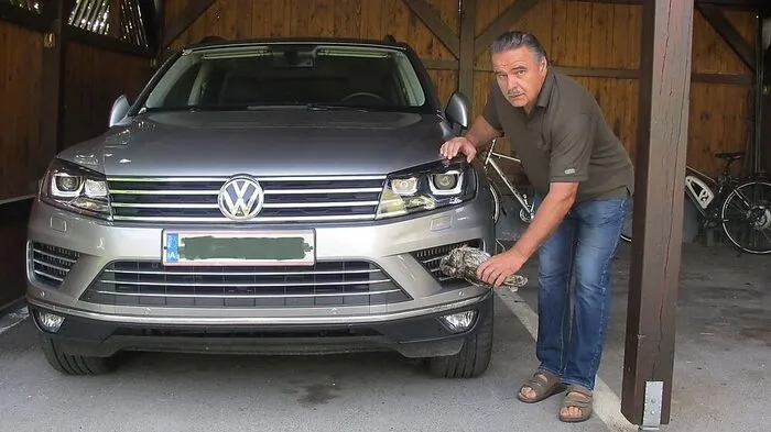 495 Euro Strafe hätte ein Sebersdorfer zahlen sollen. Kuriose Begründung: Er hat laut BH Graz-Umgebung bei einem Unfall mit einem Waldkauz Fahrerflucht begangen und sich seinem "Unfallgegner" nicht ausgewiesen.