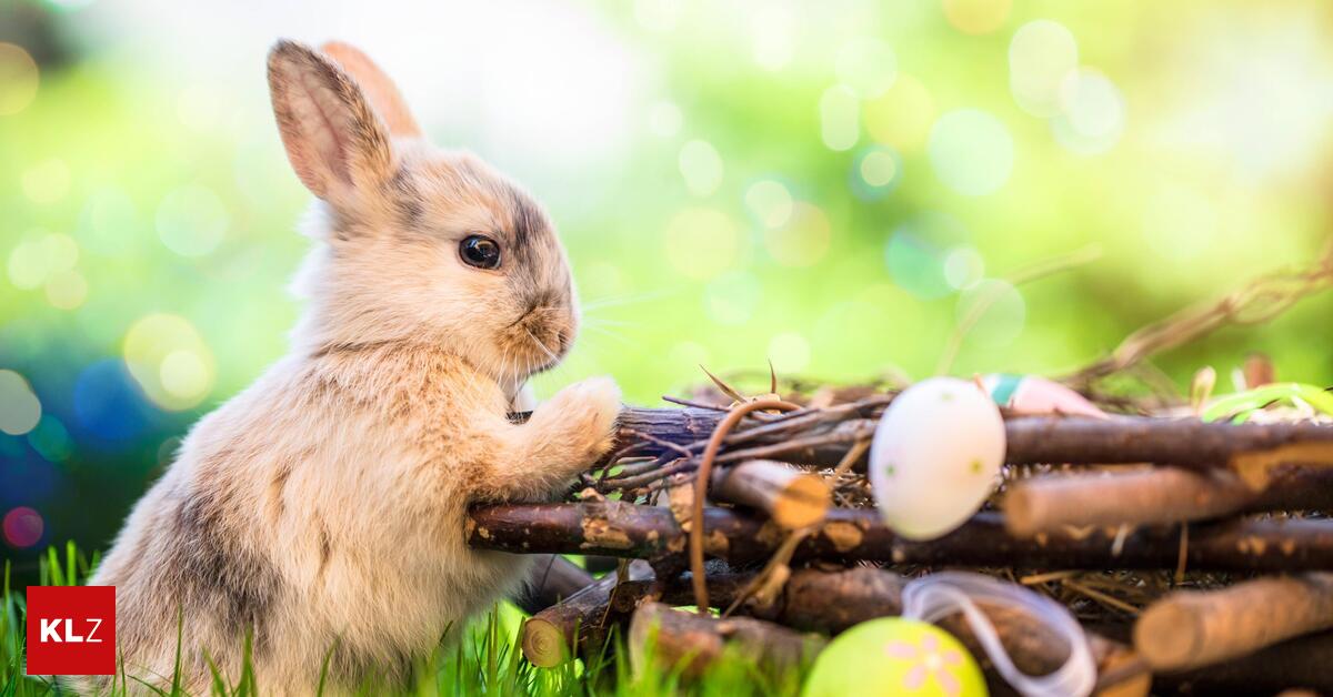 Osterbr-uche-in-sterreich-Wie-der-Hase-zum-Osterfest-kam
