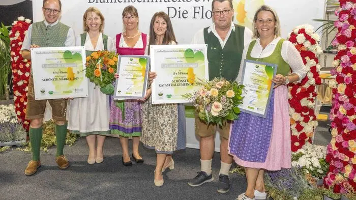 Diamant für die Marktgemeinde Haus im Ennstal und die zugehörige Katastralgemeinde Weißenbach 
