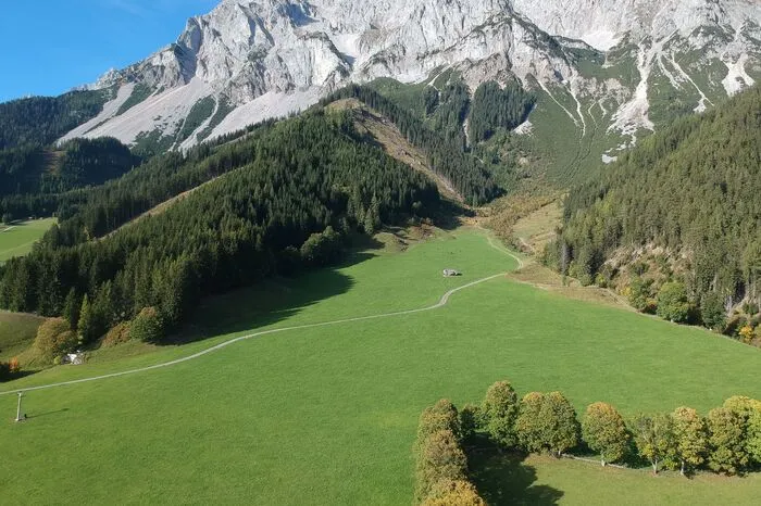 Im obersten Teil der Wiese, kurz nach dem großen Stein sollte der neue Damm so bald wie möglich errichtet werden
