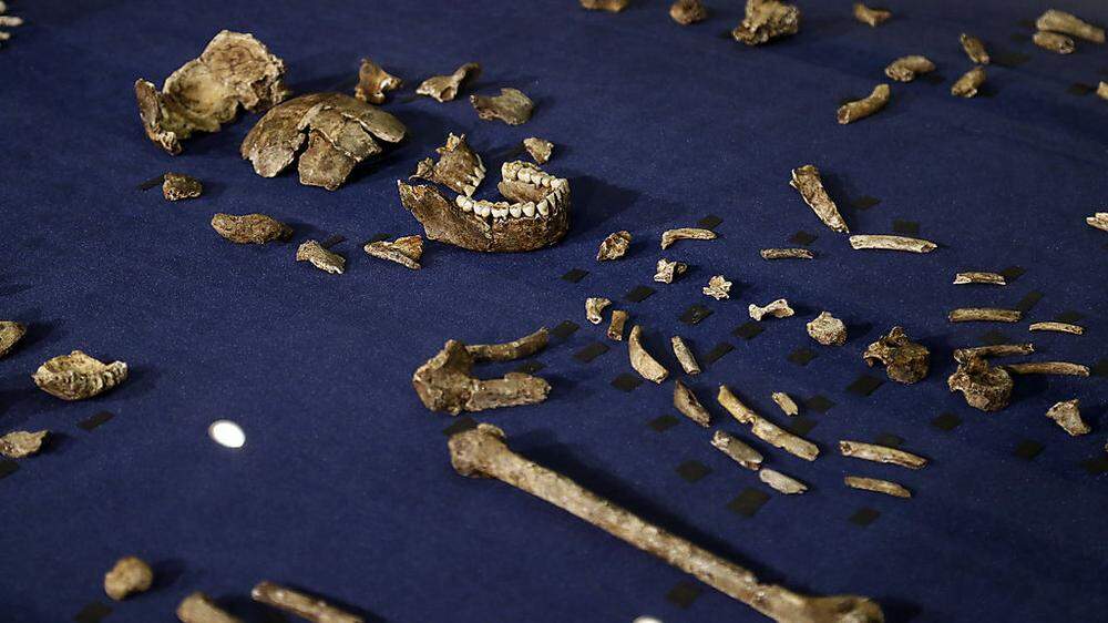Überreste des Homo naledi
