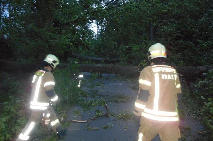 In der Nacht auf Montag hatte die Berufsfeuerwehr bereits 27 Einsätze, um umgefallene Bäume und Äste zu entfernen