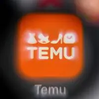 Temu wächst mit Niedrigpreisen rasant. Werden die Spielregeln im Onlinehandel neu geschrieben?