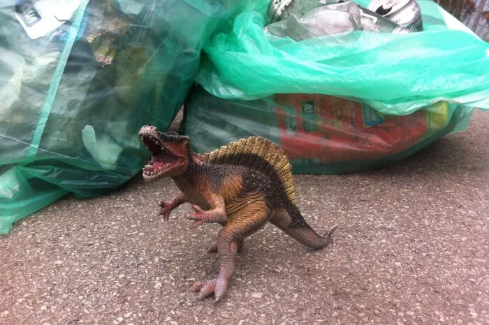 Neben Restmüll, Dosen und Flaschen gibt es auch kuriose Funde, zum Beispiel ein Dinosaurier, der neben dem Trattenweg aufgetaucht ist.