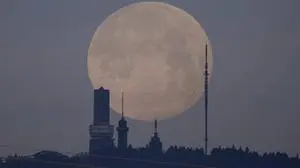 Der erste Vollmond des Jahres, der auch Wolfsmond genannt wird, verschwindet hinter dem Großen Feldberg im Taunus, Schmitten, Großer Feldberg im Taunus, Hessen, Deutschland, Europa The first full moon of the year, also known as the wolf moon, disappears behind the Großer Feldberg im Taunus, Schmitten, Großer Feldberg im Taunus, Hesse, Germany, Europe Copyright: imageBROKER/FlorianxGaul ibxgau12136472.jpg Bitte beachten Sie die gesetzlichen Bestimmungen des deutschen Urheberrechtes hinsichtlich der Namensnennung des Fotografen im direkten Umfeld der Veröffentlichung