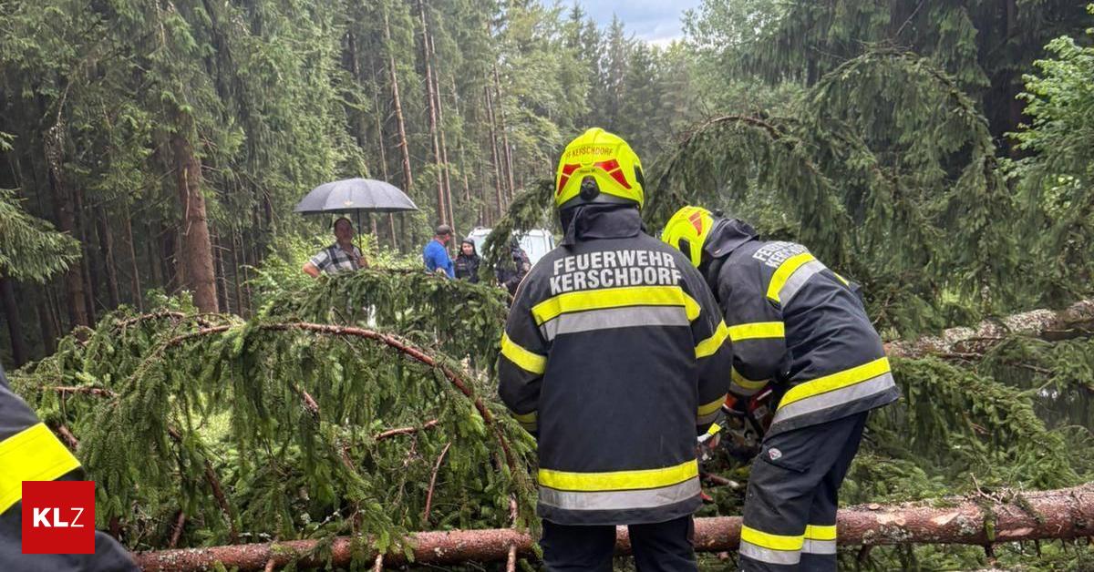 Trees fell on roads and houses, it turned white on the Gerlitzen