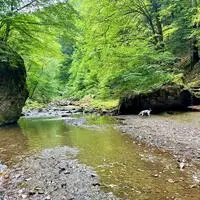Die Große Raabklamm ist seit 1970 Naturschutzgebiet und seit 2006 Natura-2000-Schutzgebiet der EU (Flora-Fauna-Habitat- und Vogelschutzrichtlinie)