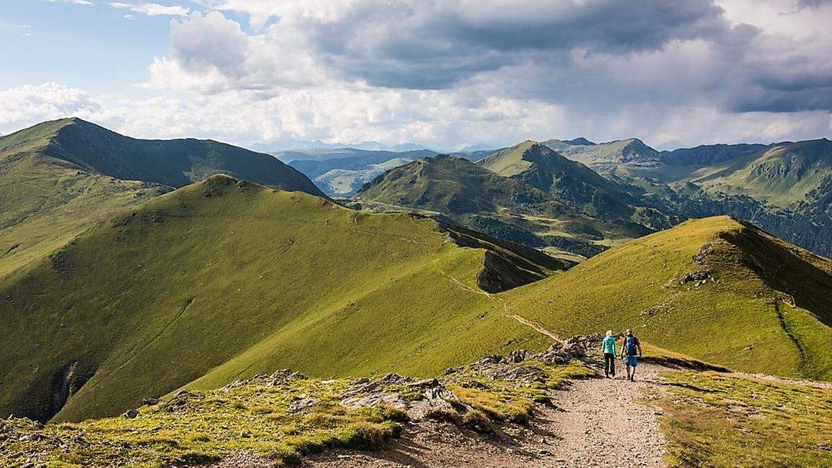 Am Tag der Artenvielfalt wurden 850 Tier- und Pflanzenarten entdeckt