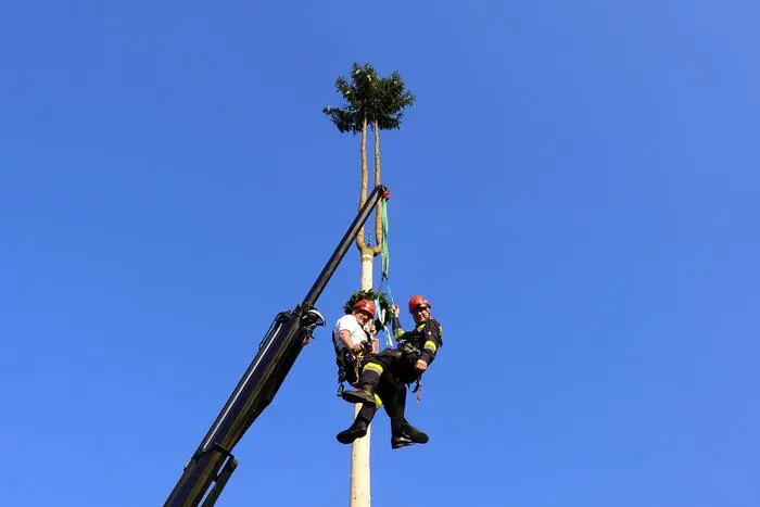 Der Maibaum ist 28 Meter hoch und hat zwei Wipfel