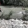 Die Wasserrettung war im Sucheinsatz