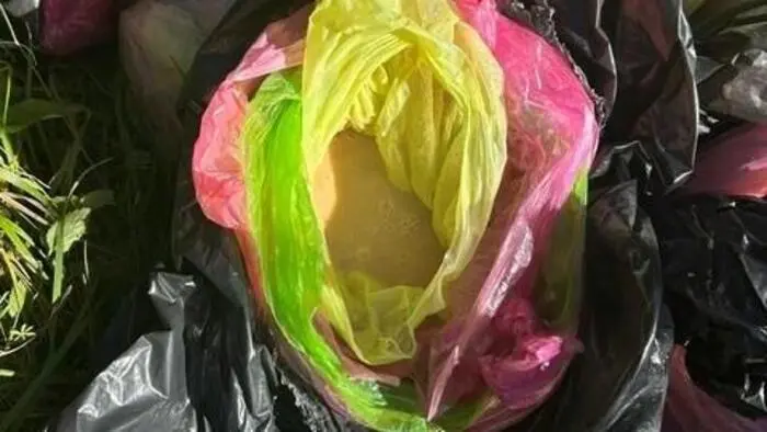 In den Müllsäcken befinden sich stets flüssige, breiige Speisereste